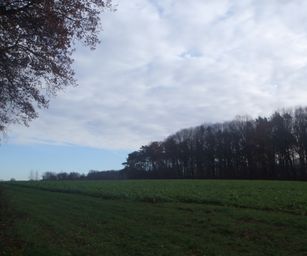 Pellenberg - 13-12-2020 (14)