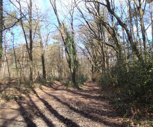 26-02-2023 - Zoersel (5)