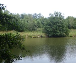 Haversin - 19-07-2020 (6)