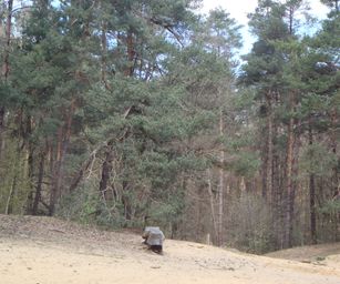 Kasterlee - 17-04-2021 (22)