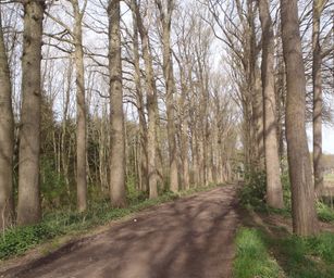 12-04-2022 - Sint-Joris (5)