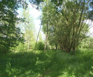 25-05-2023 - Herselt (2)