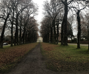 De Pinte - 05-01-2020 (15)
