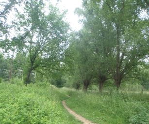 Sint-Pieters-Rode - 19-06-2021 (29)