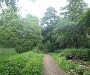 Oud Heverlee - 27-06-2021 (34)