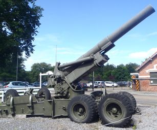 Mol - 15-08-2021 (15)