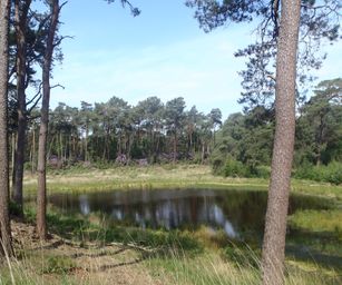 04-06-2022 Bergen-op-zoom (15)