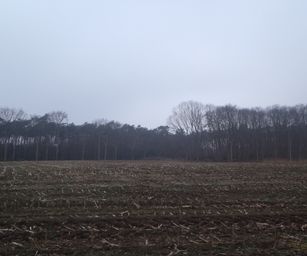 Sint-Niklaas - 27-02-2021 (3)