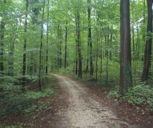 01-10-2022 Tervuren-Bos (12)