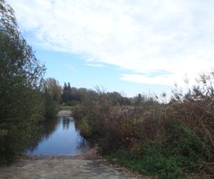 Wetteren - 31-10-2020 (35)