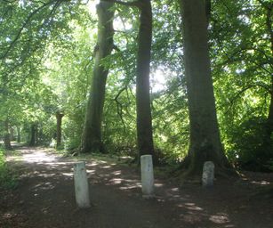 11-06-2022 Destelebrgen 2 (12)