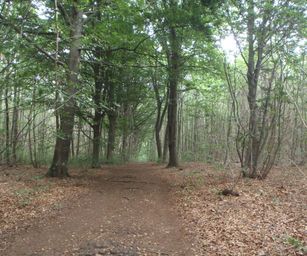 Holsbeek - 02-08-2020 (11)