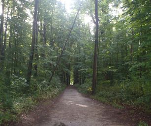 01-10-2022 Tervuren-Bos (6)