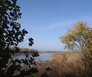 Bornem - 07-11-2020 (23)