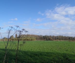 Wetteren - 31-10-2020 (9)