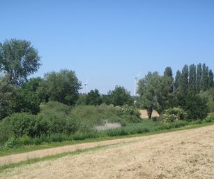 Heindonk - 13-06-2021 (32)