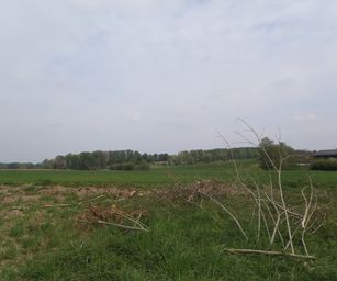 01-05-2022 - Herzele (17)