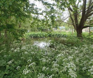 01-05-2022 - Herzele (23)