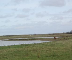 Brugge Knokke - 24-10-2020 (15)