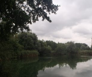 Schelle - 29-08-2021 (10)
