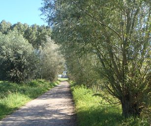 07-09-2023 - Overmere (6)