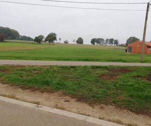Paal - 18-10-2020 (17)