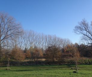 Gentbrugge - 28-11-2020 (32)