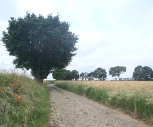 Sint-Pieters-Rode - 19-06-2021 (25)