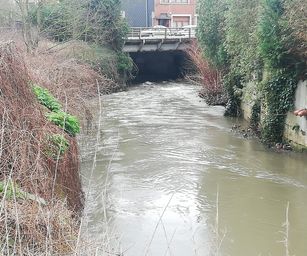 tubize - 08-03-2020 (7)