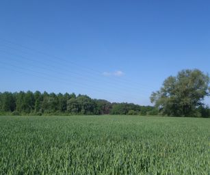 Haacht - 06-06-2021 (5)