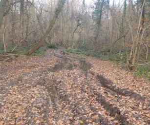 Pellenberg - 13-12-2020 (13)