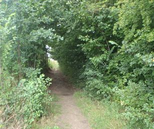 Taviers - 05-07-2020 (15)