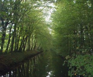 22-10-2023 - Beloeil (3)