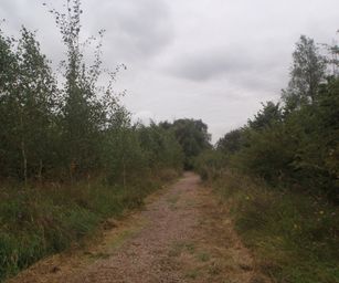Schelle - 29-08-2021 (1)