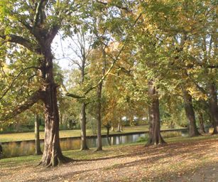 Brugge Knokke - 24-10-2020 (2)