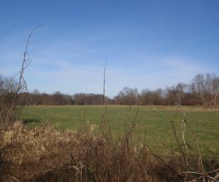 12-02-2022 - Lier (11)
