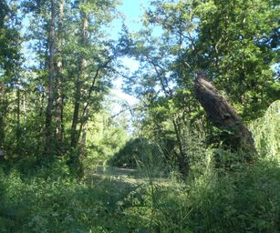 Heindonk - 13-06-2021 (2)