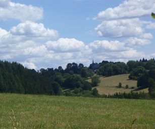 03-07-2022 Bullingen (5)