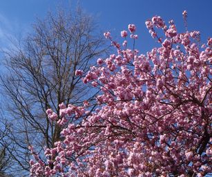 18-04-2022 - La Hulpe  (2)