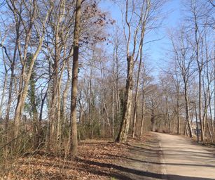 12-02-2022 - Lier (2)