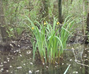 25-05-2023 - Herselt (9)
