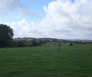 Hamoir - 11-10-2020 (6)