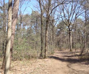 Kasterlee - 17-04-2021 (5)