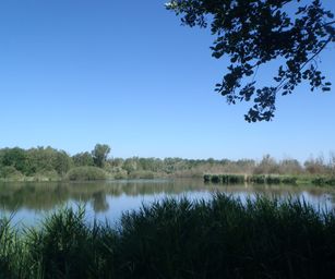 Heindonk - 13-06-2021 (23)