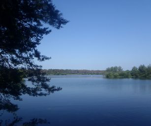 Mol - 21-07-2021 (3)