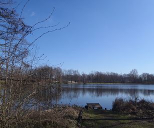 bornem - 20-03-2021 (1)
