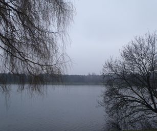 Sint-Niklaas - 27-02-2021 (11)