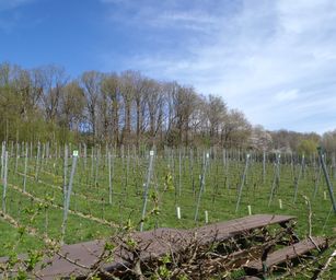 18-04-2022 - La Hulpe  (10)