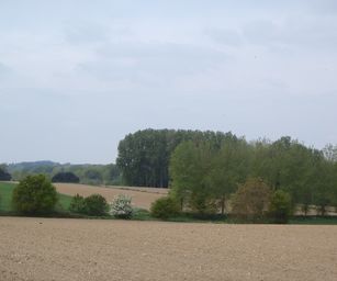 01-05-2022 - Herzele (13)
