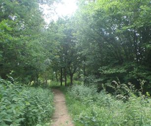 Sint-Pieters-Rode - 19-06-2021 (5)